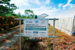 脱炭素化と循環社会の実験