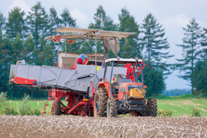 カルビー契約農家