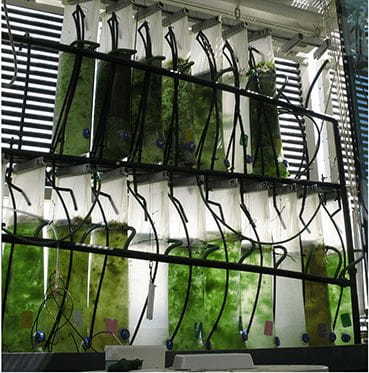 テクニオンジャパン　Golberg教授の実験室