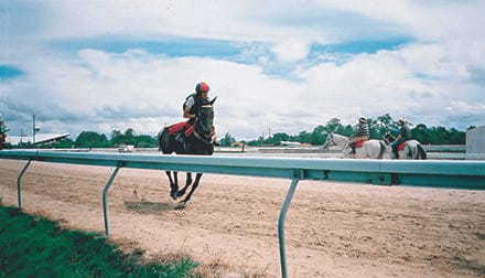 朝倉祐介 アニマルスピリッツ(提供画像)