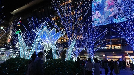 博多駅前で点灯したイルミネーション